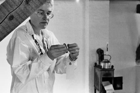 Alison Knowles (Photo: Berty Skuber, 1985)
