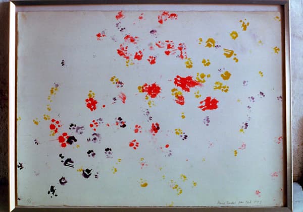 3 Cats - 3 colors by Anne Tardos (Photo: Bent Ryberg, 1985)

