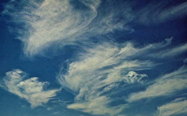 Postcard produced for the festival. Sky by Geoffrey Hendricks

