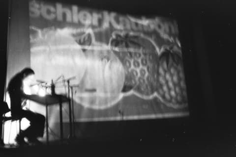 Anne Tardos (Photo: Berty Skuber, 1985)
